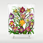 shower display-of-daylilies-ii-shower-curtains.jpg